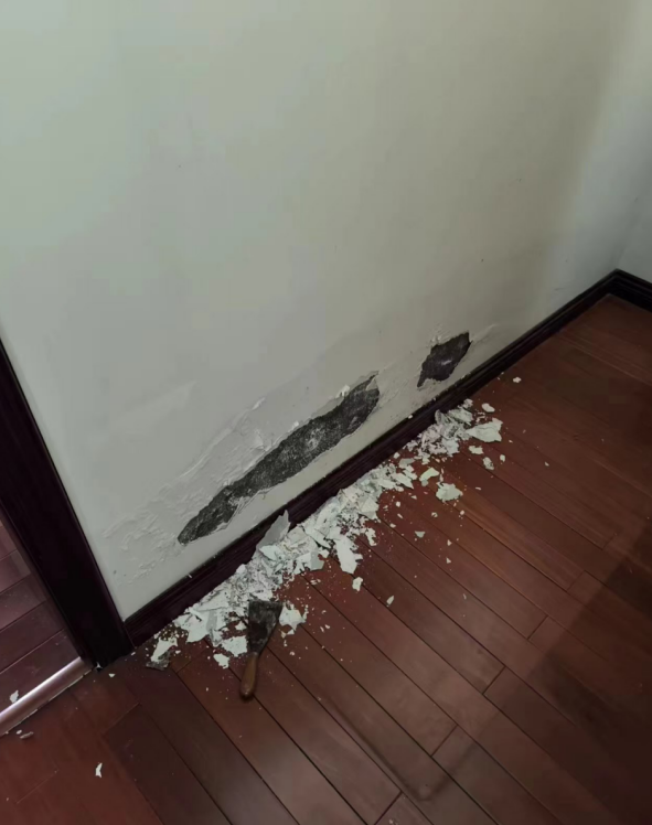 四川管線探測(cè)漏水診斷